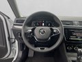 Daumennagel 15 - Skoda Superb Combi Style 2,0 TDI DSG