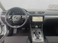 Daumennagel 16 - Skoda Superb Combi Style 2,0 TDI DSG