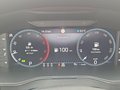 Daumennagel 19 - Skoda Superb Combi Style 2,0 TDI DSG