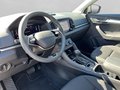 Daumennagel 16 - Skoda Karoq 2.0 TDI DSG 4x4 Drive, ACC, AHK, ACC, Navi, Kamera, El.Heckklappe, ....