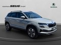 Daumennagel 3 - Skoda Karoq 2.0 TDI DSG 4x4 Drive, ACC, AHK, ACC, Navi, Kamera, El.Heckklappe, ....