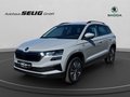 Daumennagel 1 - Skoda Karoq 2.0 TDI DSG 4x4 Drive, ACC, AHK, ACC, Navi, Kamera, El.Heckklappe, ....