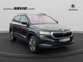 Daumennagel 3 - Skoda Karoq 1.5 TSI Tour, LED, PDC, Navi, AHK,Garantie 100 TKM 5 Jahre