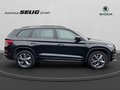 Daumennagel 5 - Skoda Kodiaq 2,0 TDI DSG 190 PS Sportline 4x4, Navigation, SH, PDC, Klimaautomatik