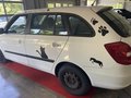 Daumennagel 4 - Skoda Style Animal nur 99,- montl.
