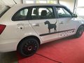 Daumennagel 5 - Skoda Style Animal nur 99,- montl.