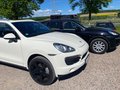 Daumennagel 1 - Porsche Cayenne S BOSE+Glasdach+AHK+Aktivsitz