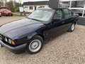 Daumennagel 7 - BMW 525i 24V Executive Autom. Leder Schiebedach