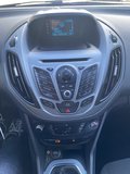 Daumennagel 4 - Ford B-MAX Sync Edition