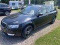 Daumennagel 3 - Skoda Octavia Combi Ambition