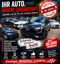 Daumennagel 8 - Volkswagen Widder 4x4 2,0 TDI Seikel 19 Zoll Multiva / Caravelle Sitze