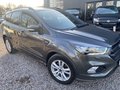 Daumennagel 2 - Ford Kuga ST-Line Autom 4x4