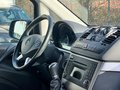 Daumennagel 6 - Mercedes-Benz Vito 116 CDI lang 4x4 TÜV 07/27 AHK Tempo Klima