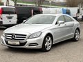 Daumennagel 1 - Mercedes-Benz CLS 350 CDI BE Bi-Xenon Navi Tempo Klimaaut.