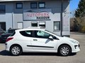 Daumennagel 4 - Peugeot 308 Filou TÜV 04/27 Garantie Multi 8-Fach 5-Sitz.