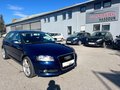 Daumennagel 4 - Audi A3 Sportback 2.0 TDI Attraction Tempo PDC Multi SHZ Klimaauto