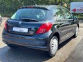Daumennagel 8 - Peugeot 207 Filou TÜV 07/27 1.Hand 5-Sitz.