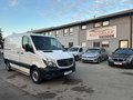 Daumennagel 3 - Mercedes-Benz Sprinter II Kasten 213 CDI Navi RFK Klima 1.Hand