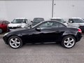 Daumennagel 10 - Mercedes-Benz SLK 200 Kompressor MOTORSCHADEN TÜV 04/27 Tempo Klimaaut.