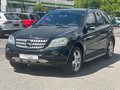 Daumennagel 1 - Mercedes-Benz ML 320 CDI TÜV 07/26 Xenon Navi