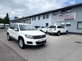 Daumennagel 3 - Volkswagen Tiguan Trend & Fun BMT TÜV 08/26 AHK Navi Klima