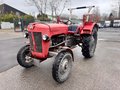 Daumennagel 1 - Massey Ferguson MF 30 TÜV 10/26 AHK Zugmaschine Traktor