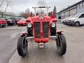 Daumennagel 2 - Massey Ferguson MF 30 TÜV 10/26 AHK Zugmaschine Traktor