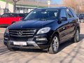 Daumennagel 1 - Mercedes-Benz ML 350 CDI BlueTec 4MATIC TÜV 03/28 Garantie Xenon AHK Navi Tempo Klimaaut.