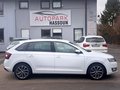 Daumennagel 4 - Skoda Rapid Spaceback Drive TÜV 10/26 Garantie Navi Tempo Klimaaut.