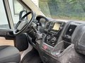 Daumennagel 7 - Fiat Ducato Hochr.-Kasten 35 Klima Anhängerkupplung Rückfahrkamera