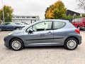 Daumennagel 11 - Peugeot 207 Tendance TÜV 11/25 SHZ Multi Klima