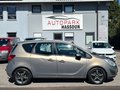 Daumennagel 4 - Opel Meriva B Edition AHK Tempo FSE Klima