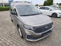 Daumennagel 5 - Ford Grand Tourneo Connect Titanium
