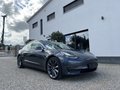 Daumennagel 3 - Tesla Model 3 Performance Dual AWD Langstreckenver.