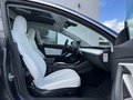 Daumennagel 8 - Tesla Model 3 Performance Dual AWD Langstreckenver.