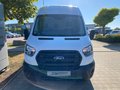 Daumennagel 3 - Ford Transit Kasten 350 H3 L3 Basis 2,0L EcoBlue 170PS Automatik