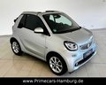 Daumennagel 5 - Smart ForTwo 1.0 Basis Passion Cabrio|NAVI|SH|PDC|LED|