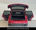 Daumennagel 19 - Audi Q7 3.0 TDI Quattro S-LINE|PANO|STANDHZG|KAMERAS|