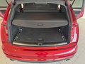 Daumennagel 10 - Audi Q7 3.0 TDI Quattro S-LINE|PANO|STANDHZG|KAMERAS|