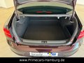 Daumennagel 10 - Volkswagen Passat 2.0 TDI R-Line 4Motion/AHK/STANDHZG/ACC/