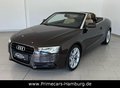 Daumennagel 1 - Audi A5 2.0 TDI Cabriolet|BI-XENON|LEDER|MMI|AUTOM.|