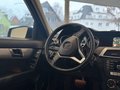 Daumennagel 6 - Mercedes-Benz C 220 T CDI BlueEfficiency Avantgarde|KAMERA|XEN