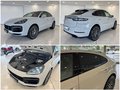 Daumennagel 10 - Porsche Cayenne Coupe Turbo|CHRONO|MATRIX|KREIDE|VOLL|