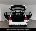 Daumennagel 19 - Mercedes-Benz GLK 220 CDI BlueEfficiency 4Matic|PANO|BI-XENON|