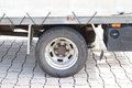 Daumennagel 9 - Iveco Daily 35C18 Doka Pritsche Plane 4x4 ALLRAD