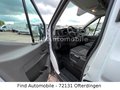 Daumennagel 16 - Ford Transit Kasten 350 L3 Trend *Holzboden*170PS*SOF  L3  Holzboden 170PS SOF