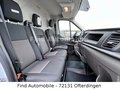 Daumennagel 29 - Ford Transit Kasten 350 L3 Trend *Holzboden*170PS*SOF  L3  Holzboden 170PS SOF