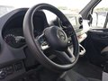 Daumennagel 10 - Mercedes-Benz Sprinter  316 CDI ALLRAD MIXTO L2H2 AUTOMAT AHK