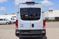 Daumennagel 8 - Iveco Daily 35S18HA 3.0L *MOBILITY*BUS*9-SITZER*AUTOM*   MOBILITY BUS 9-SITZER AUTOM