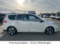 Daumennagel 10 - Renault Scenic III Grand BOSE Edition *EXPORT*HÄNDLER* EXPORT HÄNDLER